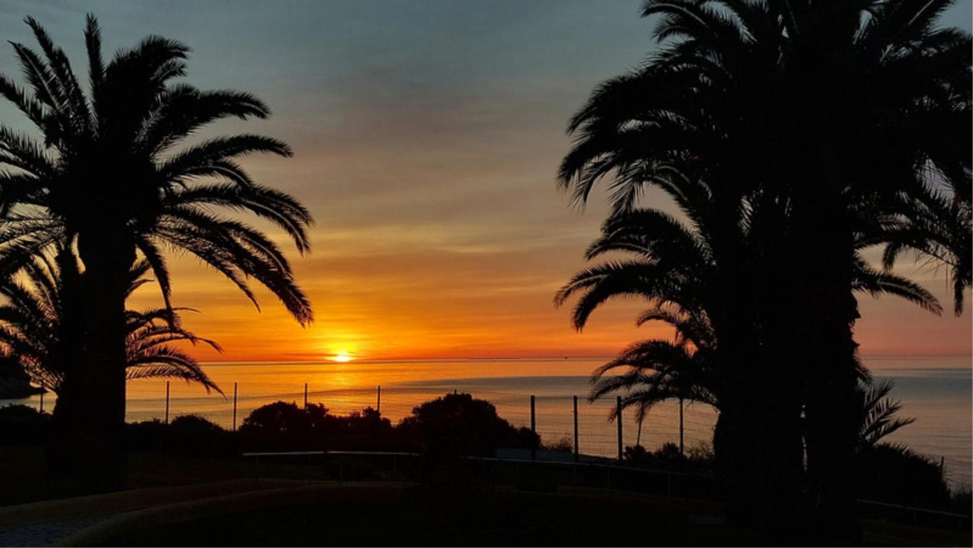 Bungalow Alkabir Playa El Campello Eksteriør bilde